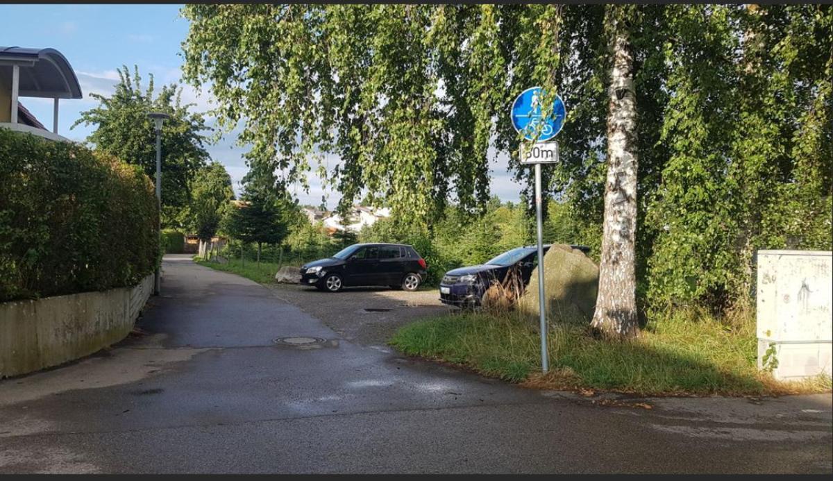 Ferienwohnung Am Bodensee Линдау Екстериор снимка